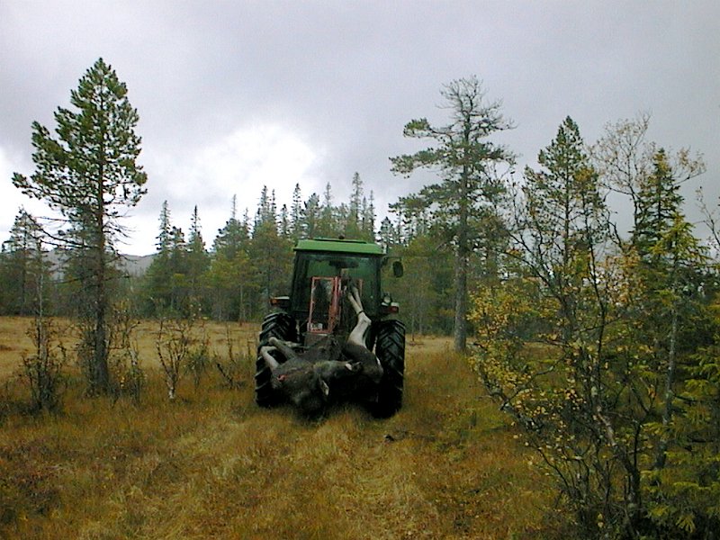1999 Per Hammer kjorer fram elg.jpg - Siste reis gikk over Linerlemyra